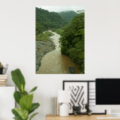 Rain Forest Poster (Thuiskantoor)