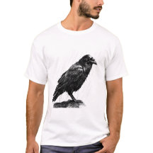 Rain Whispers, Raven's Wijsheid