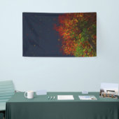 Rainboegbanner Spandoek (Beurs)