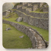 Rainbogen over de landbouwterrassen, Machu Bier Onderzetter (Voorkant)