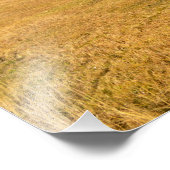 Rainbogen tegen stormachtige hemel foto afdruk (Hoek)