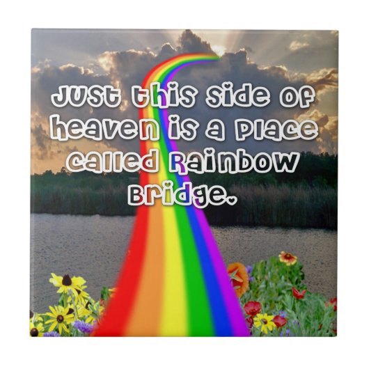 Rainboogbrug Tegeltje (Voorkant)