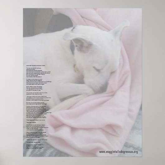 Rainboogbrug van de redder (bewerkt) poster (Voorkant)