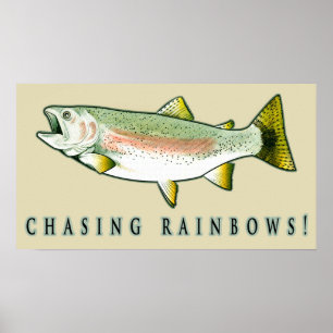 Rainboogforel achtervolgen poster