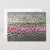 Rainboogforel op PatternWear© Briefkaart (Voorkant / Achterkant)