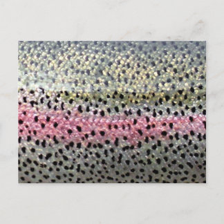 Rainboogforel op PatternWear© Briefkaart