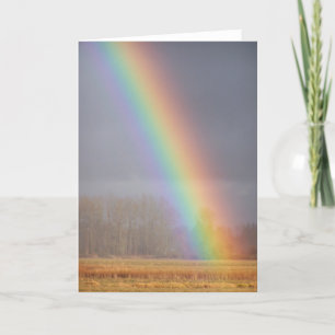 Rainboogkaart 1 kaart