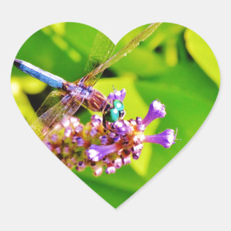 Rainboogkleurige Dragonfly op een paarse roze bloe Hart Sticker