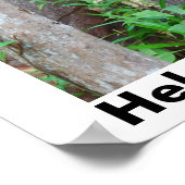 Rainbossen opslaan poster (Hoek)