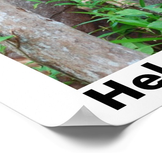 Rainbossen opslaan poster (Hoek)