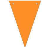 Rainbow 6 Colour LGBTQ Pride Celebration Vlaggetjes (Tweede vlag)