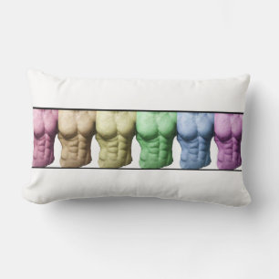 Rainbow Abs American MoJo Kussens