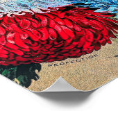 Rainbow Asters  Vloerzaadcatalogus Poster (Hoek)