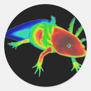 Rainbow Axolotl Stickers