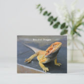Rainbow Bearded Dragon Briefkaart (Staand voorkant)