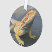 Rainbow Bearded Dragon Ornament (voorkant)