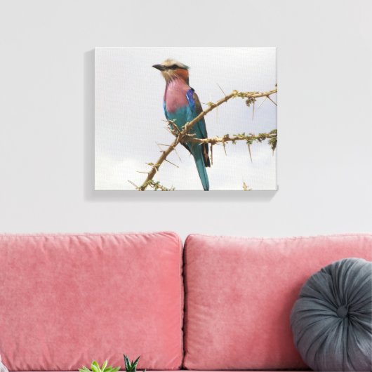 Rainbow Bird Foto Canvas Afdruk (Insitu (Woonkamer))