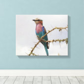 Rainbow Bird Foto Canvas Afdruk (Insitu (Houten vloer))
