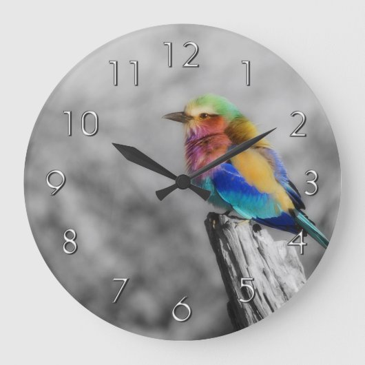 Rainbow Bird Grote Klok (Voorkant)