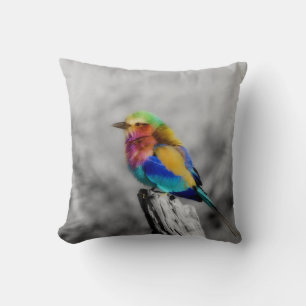 Rainbow Bird Kussen