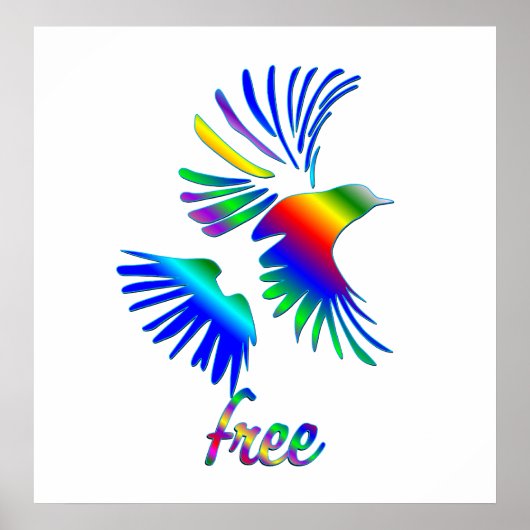Rainbow Bird Poster (Voorkant)