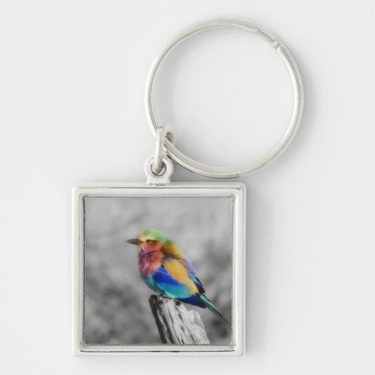 Rainbow Bird Sleutelhanger (Voorkant)