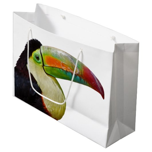 Rainbow Bled Toucan Gift Bag Large Cadeauzakje (Voorkant Gekanteld)