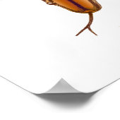 Rainbow Boa Snake Print (Hoek)