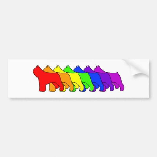 Rainbow Bouvier Bumpersticker (Voorkant)
