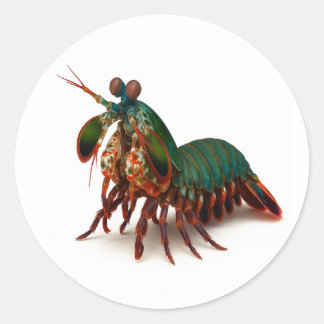 Rainbow Brawler van de diepte Ronde Sticker