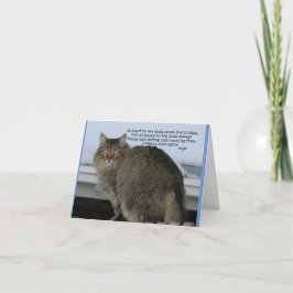 Rainbow Bridge - Gedicht sympathie voor katten Kaart