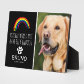 Rainbow Bridge | Herinnering aan huisdier Fotoplaat (Zijkant)