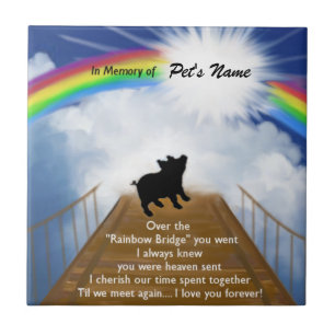 Rainbow Bridge Memorial Poem voor varkens Tegeltje