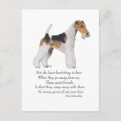 Rainbow Bridge met Wire Fox Terrier Briefkaart (Voorkant)