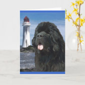 Rainbow Bridge Newfoundland hond Kaart (Gele Bloem)