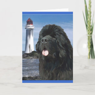 Rainbow Bridge Newfoundland hond Kaart