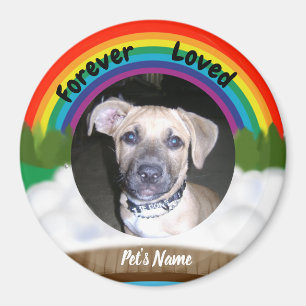 Rainbow Bridge Pet Loss Magneet