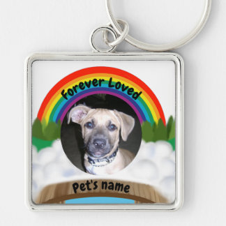 Rainbow Bridge Pet Loss Sleutelhanger