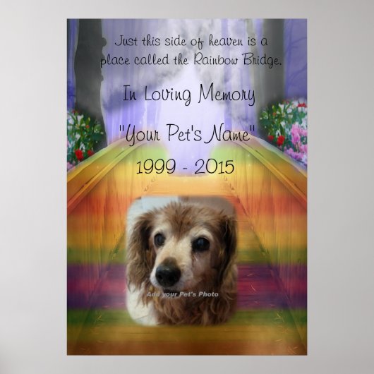 Rainbow Bridge Pet Memorial - In memory Poster (Voorkant)