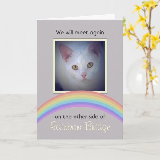 Rainbow Bridge Pet Memorial Kaart (Gele Bloem)
