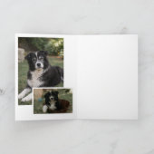 Rainbow Bridge Pet Memorial Photo Card Kaart (Binnen)