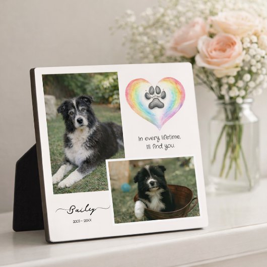 Rainbow Bridge Pet Memorial Photo Plaque