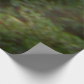 Rainbow Bridge Sunset at Grove City College Houten Poster (Hoek)