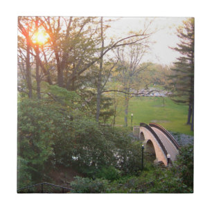 Rainbow Bridge Sunset at Grove City College Tegeltje