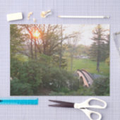 Rainbow Bridge Sunset at Grove City College Tissuepapier (Craft)