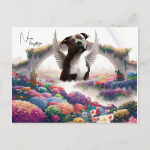 Rainbow Bridge Sympathie Keepsake Briefkaart Kunst