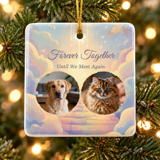 Rainbow Bridge Twee Huisdier Foto Herdenking Keramisch Ornament