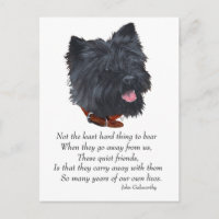 Rainbow Bridge van Black Cairn Terrier