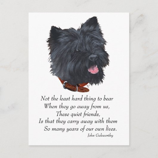 Rainbow Bridge van Black Cairn Terrier Briefkaart (Voorkant)