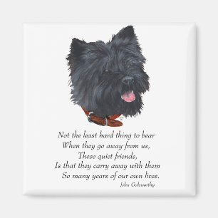 Rainbow Bridge van Black Cairn Terrier Magneet